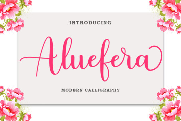 Aluefera Script: A Whimsical Typeface for Elegant Branding