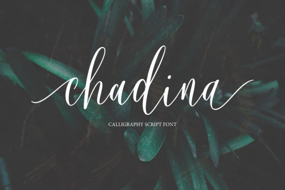 Chadina Script: A Romantic Typeface for Editorial Design