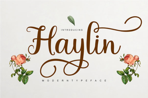 Haylin Script: A Delicate Typeface for Branding