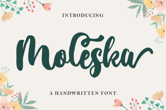 Moleska: A Handwritten Font for Bold Campaigns