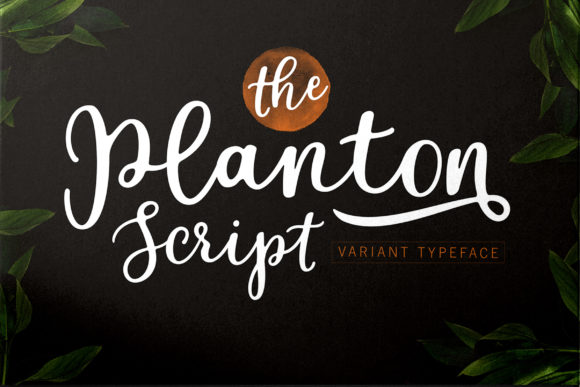 Planton Script: A Hand-Lettered Typeface for Modern Web Design