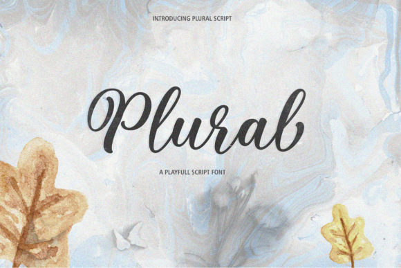 Plural Script: A Premium Typeface for Web Design
