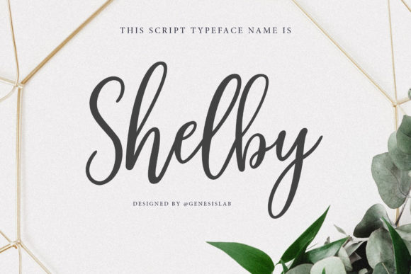 Shelby Script: A Typeface That Elevates Small Business Branding