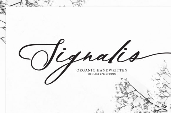 Signalis Script: A Modern Typeface for Your Brand